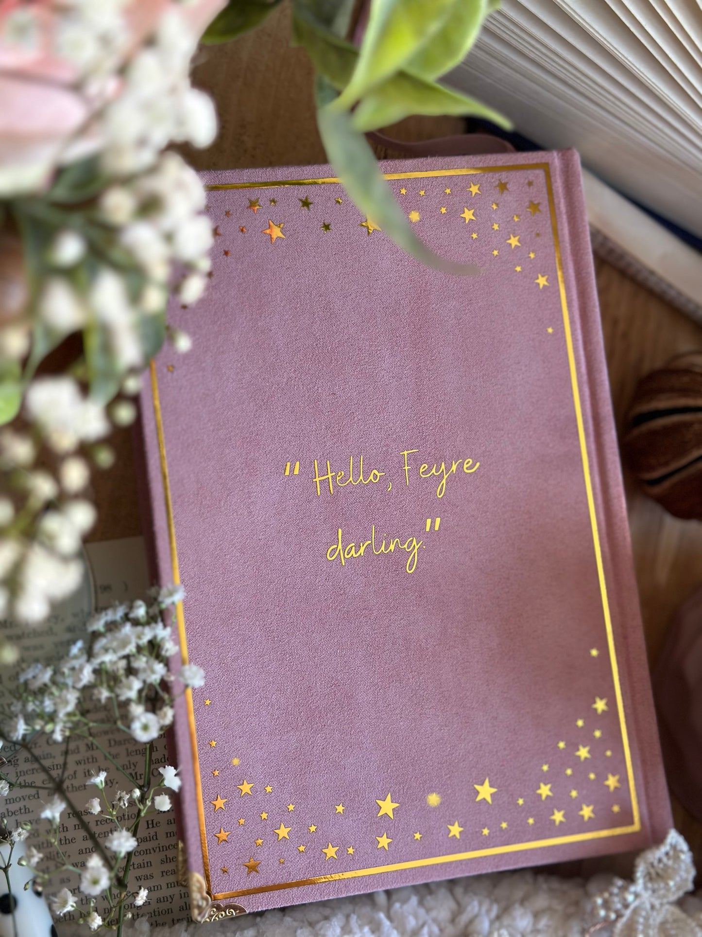 A Court of Thorns & Roses by Sarah J. Maas - The Elaine Edition | Pink Ombré, ACOTAR, Handmade, Rebind, Special Edition