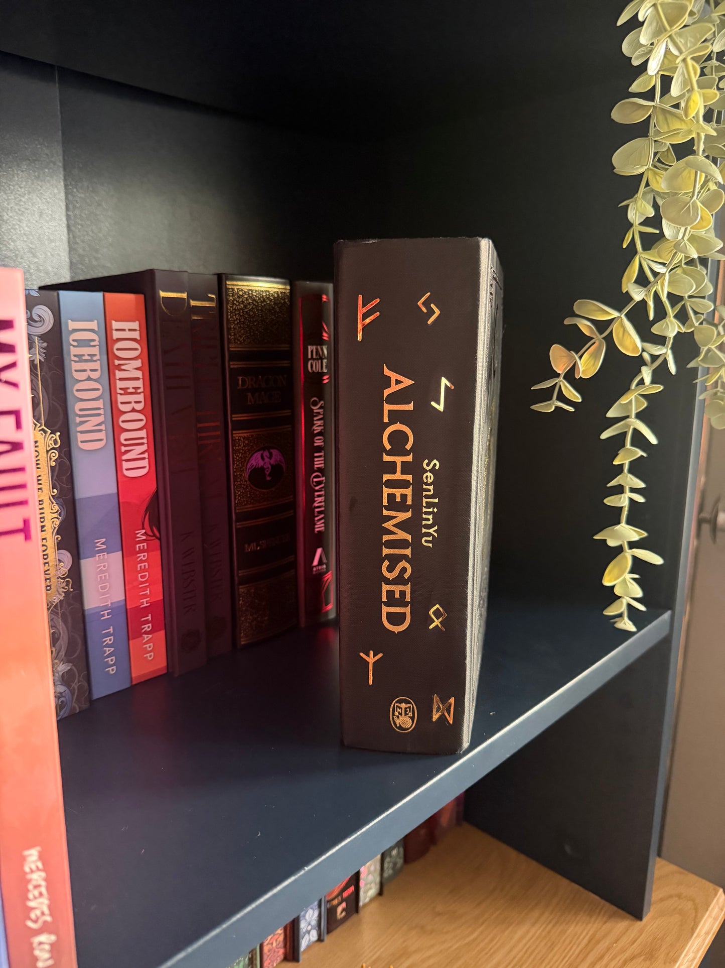 Make Your Own Special Edition book -Alchemised by SenLinYu - Ready to Iron On Book Design - Vinyl Decal, Personalised Gift