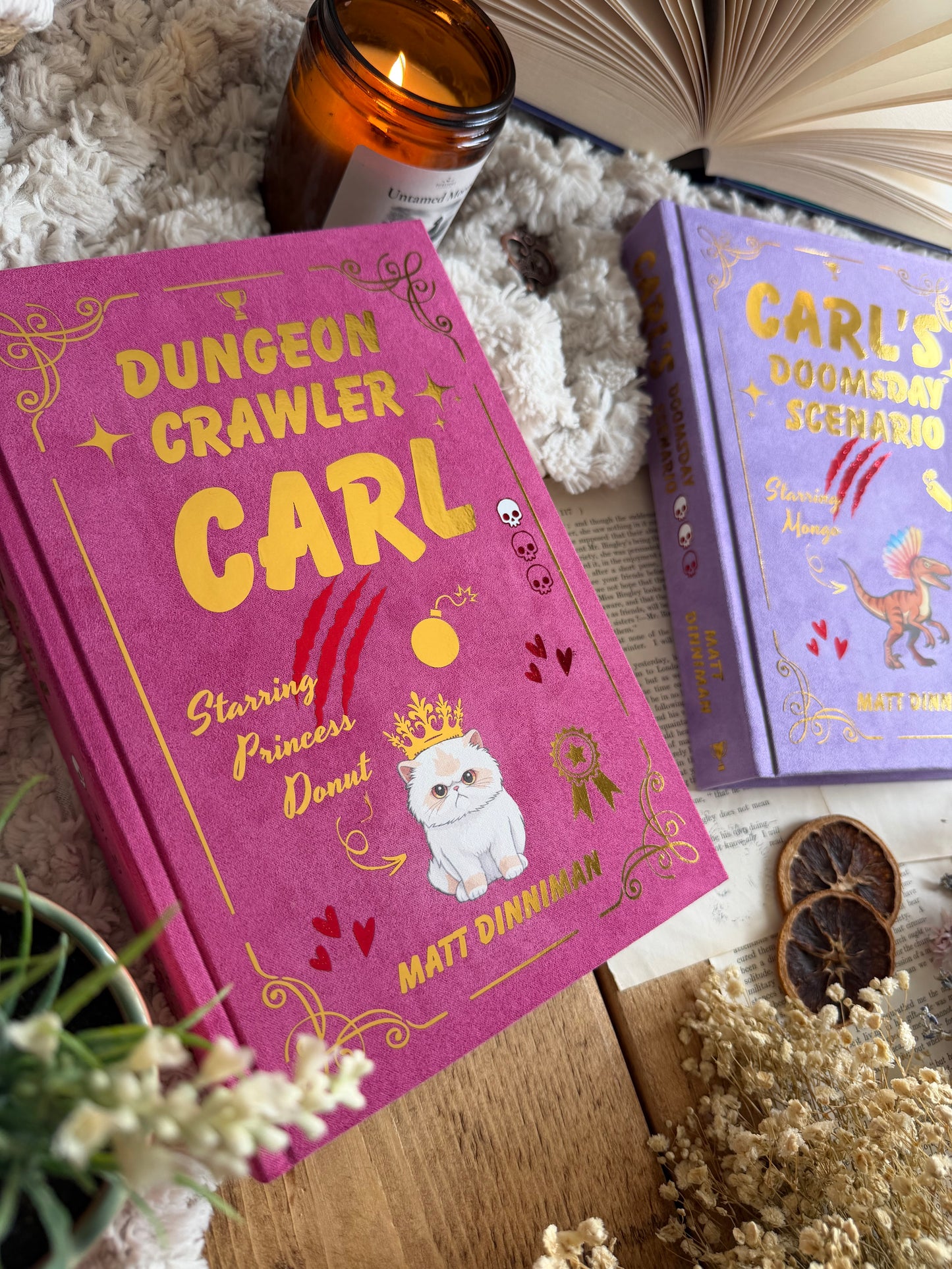 Dungeon Crawler Carl by Matt Dinniman - Special Character Editions | Handmade, Rebind, Special Edition